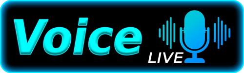 Voice